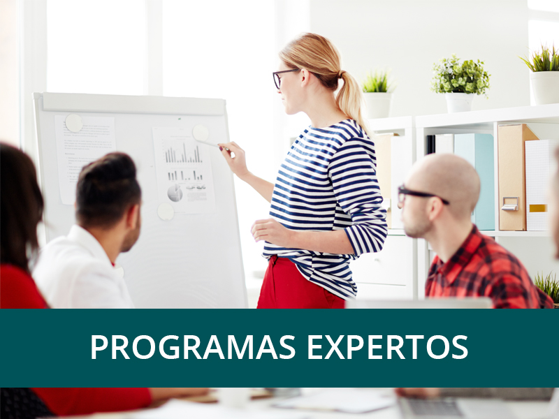 PROGRAMAS EXPERTOS